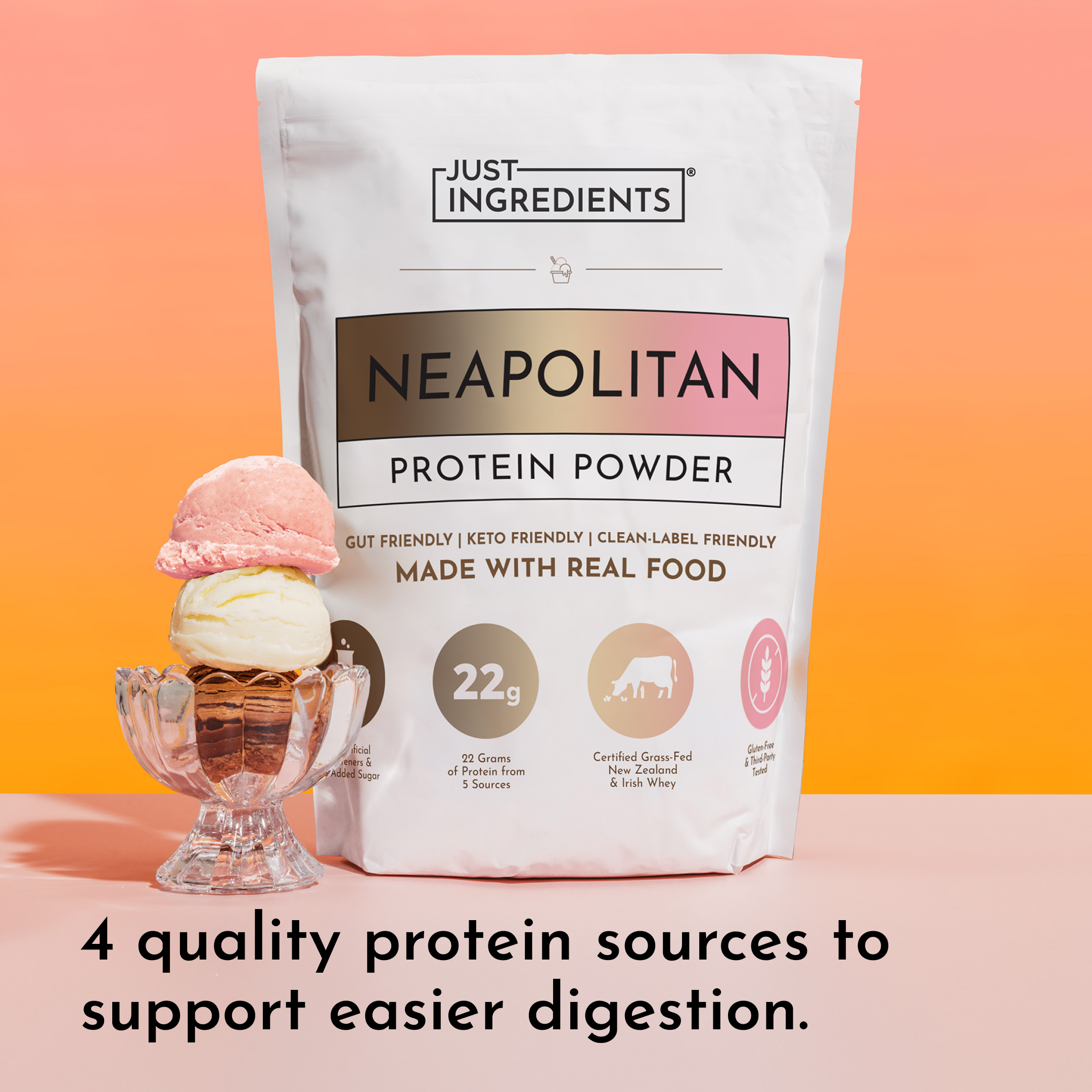Neapolitan Protein Powder