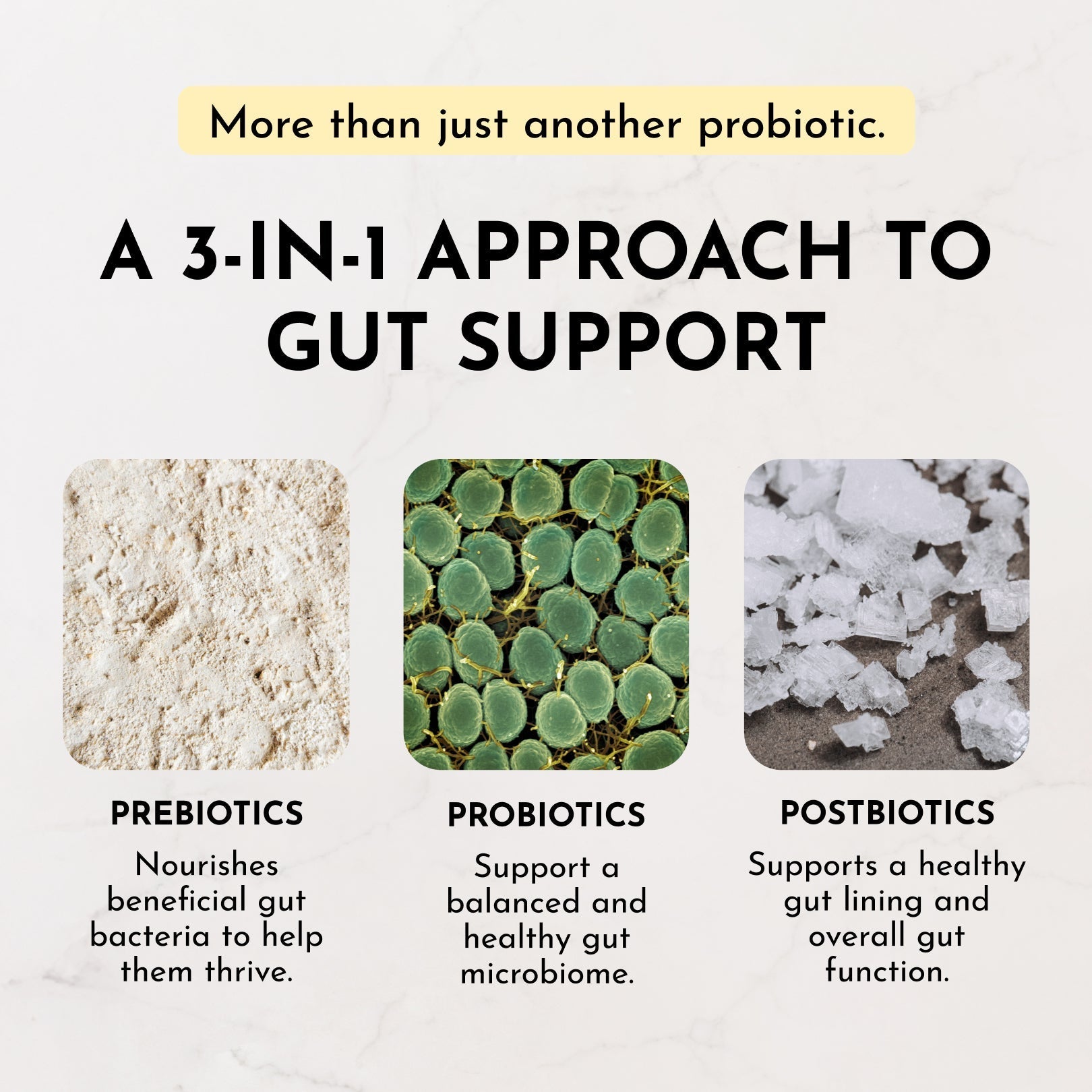 Lemon Ginger 3-In-1 Probiotic Complex - 30 Single-Serving Sticks