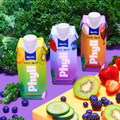 Phyll Fruit and Greens Smoothie