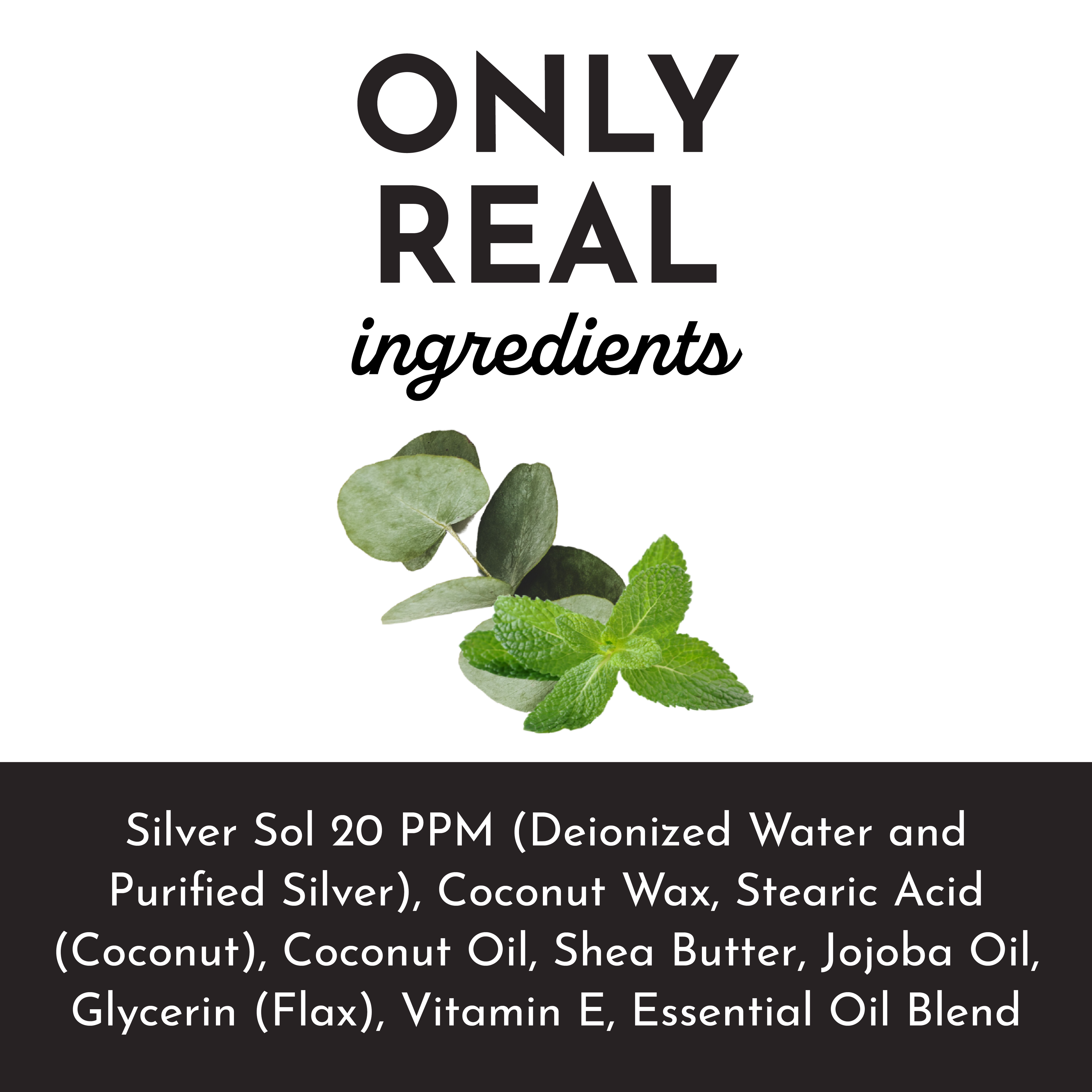 Eucalyptus Mint Body Lotion - 8 oz