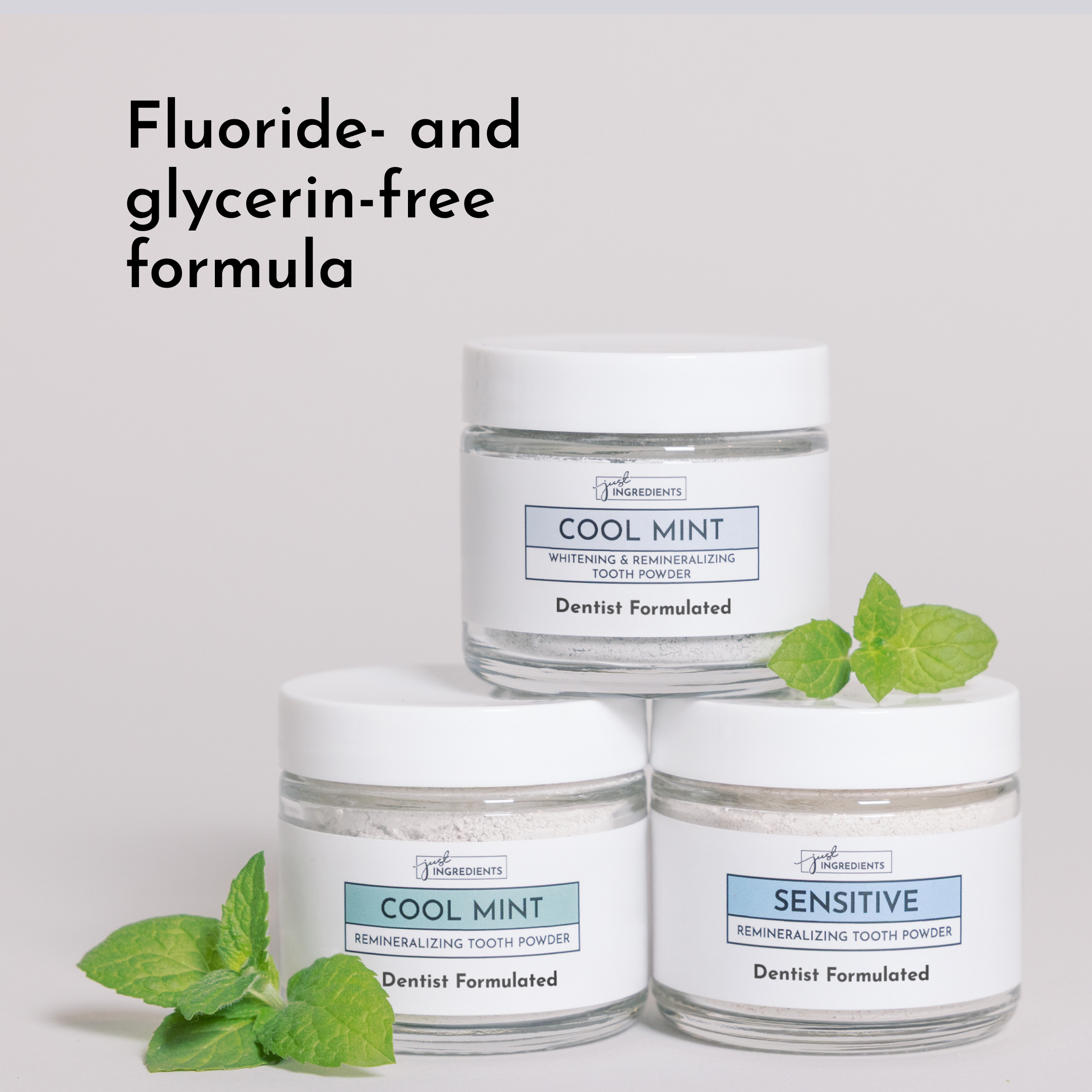 Remineralizing Tooth Powder (Mint)