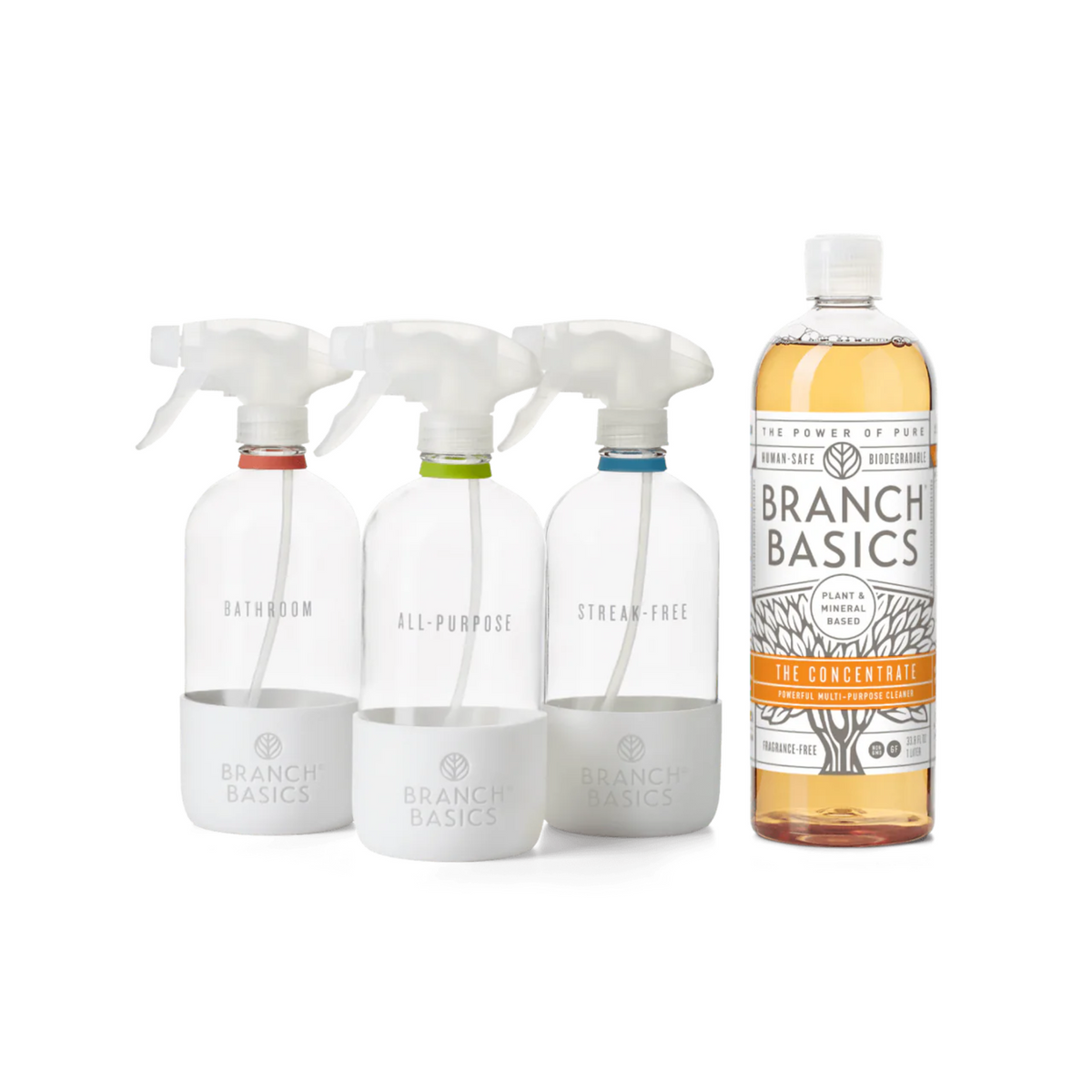 BRANCH BASICS GLASS CLEANING ESSENTIALS KIT