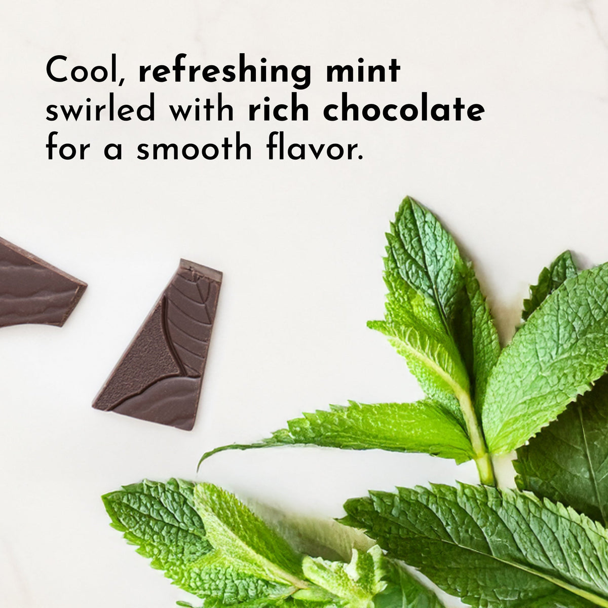 Mint Chocolate Bone Broth Protein Powder - 22g Protein, Dairy-Free