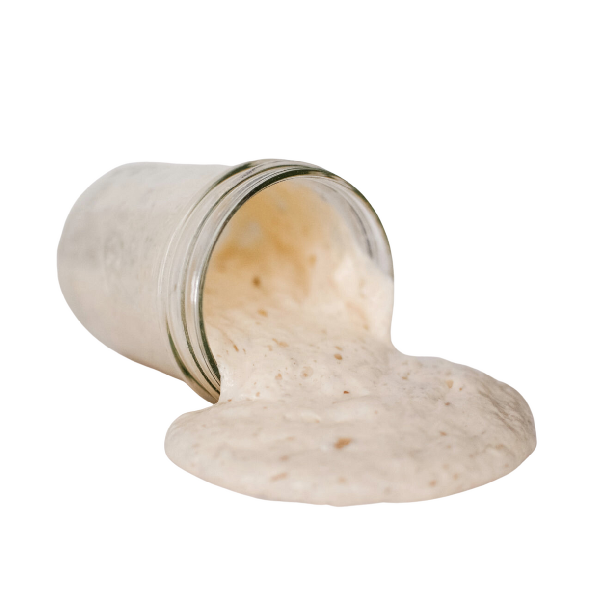 LAURA LIVES THE GOOD LIFE SOURDOUGH STARTER