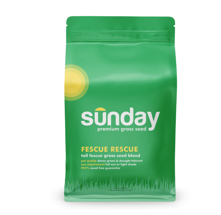 SUNDAY GRASS SEED