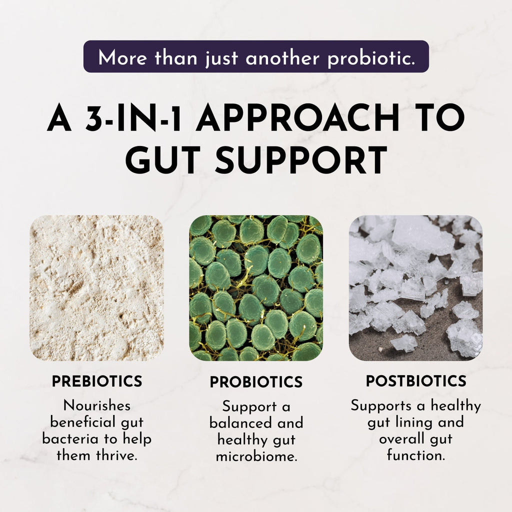 Elderberry Lemonade 3-In-1 Probiotic Complex